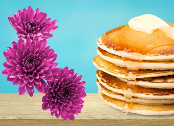 Join us for a pancake breakfast that benefits the Veterans Honor Flight of ND/MN.
