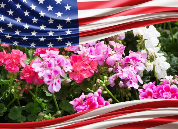 Support the Veterans Honor Flight of ND/MN by purchasing flowers.