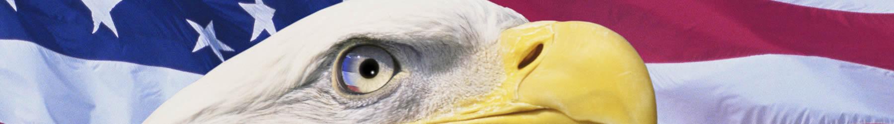 Learn about the Lone Eagle Honor Flag program.